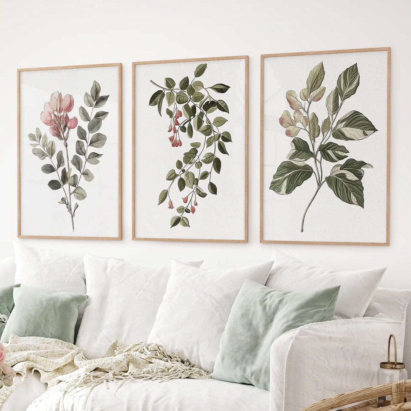 Floral Set of 3 Piece Wall Art. Magnolia, Honeysuckle  Prints  (online exclusive)