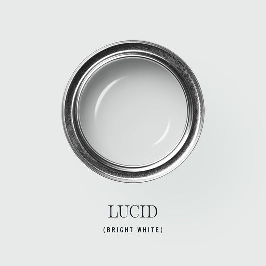 Lucid (Online Exclusive)