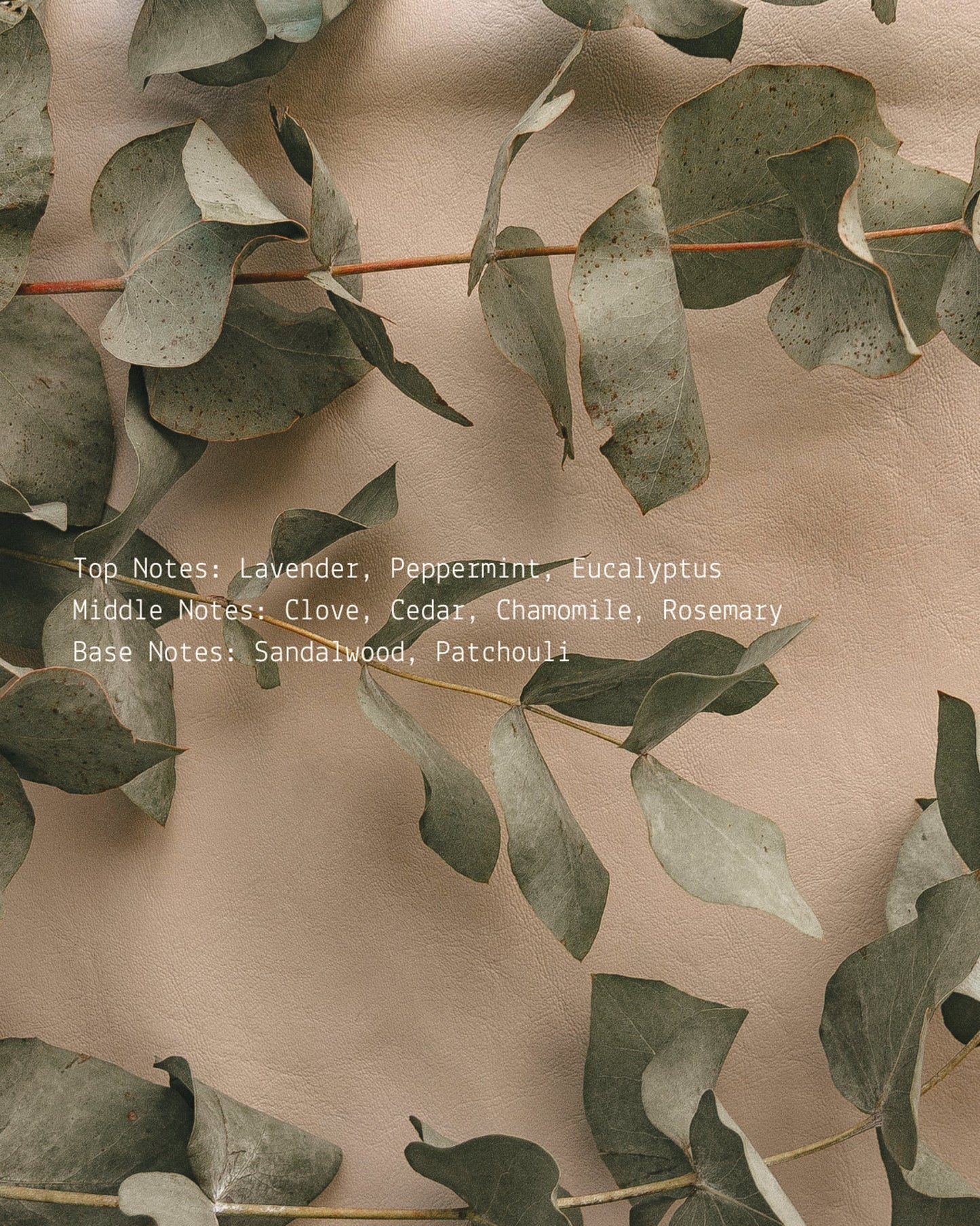 Transcend Room + Linen Fragrance Mist  (online exclusive)