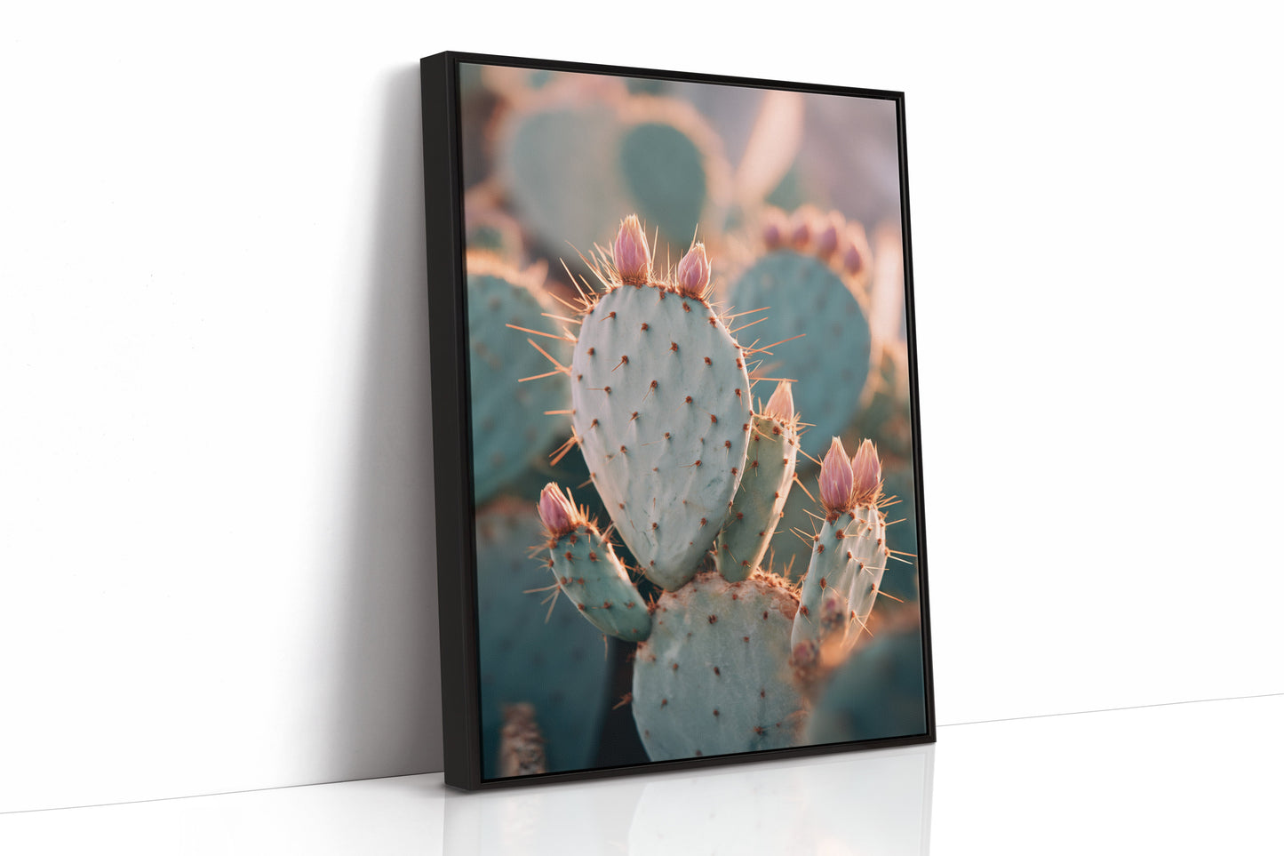 Cacti Embrace the Golden Dawn (Online Exclusive)