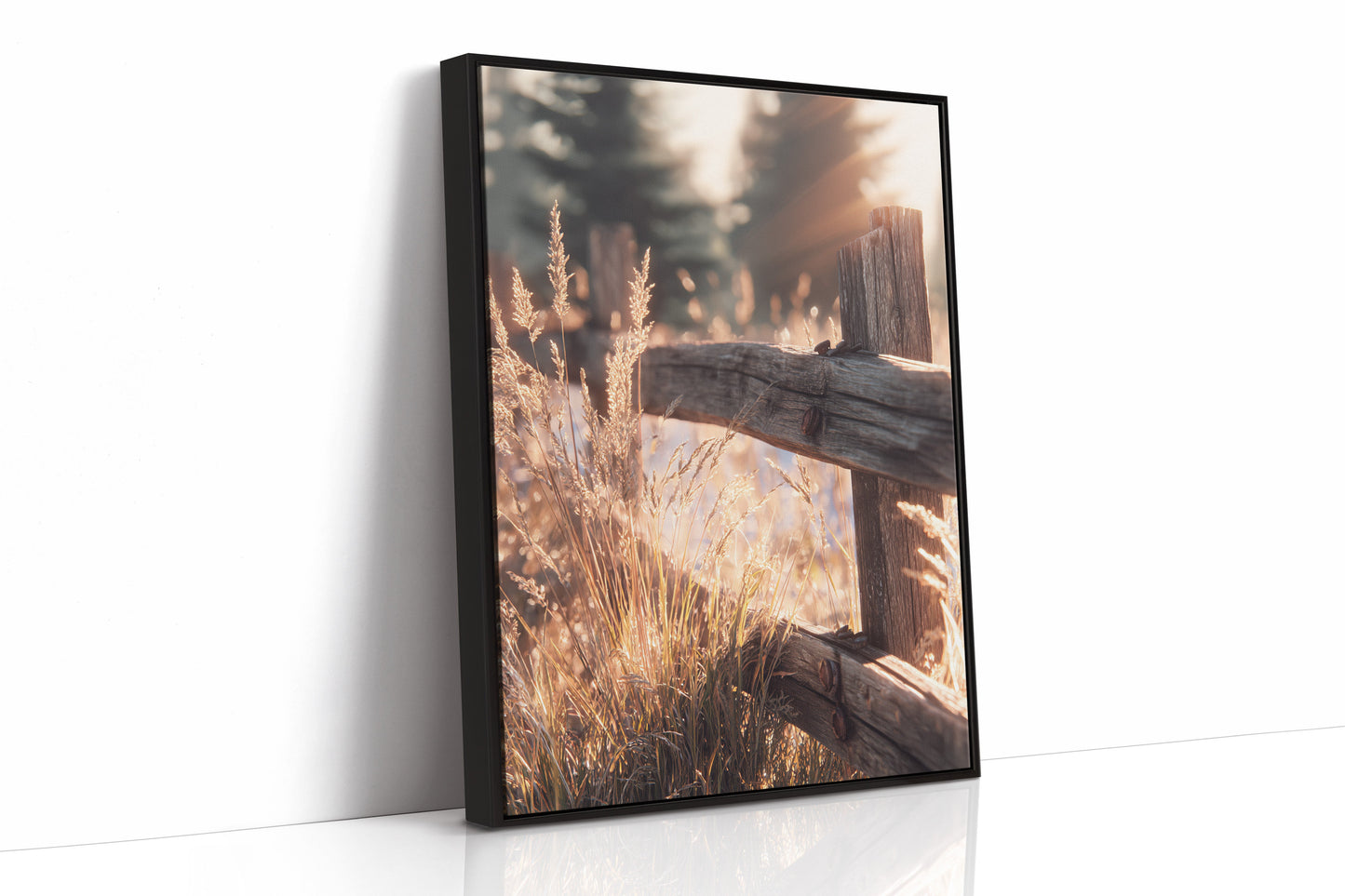 Golden Light on Weathered Wood (Online Exclusive)