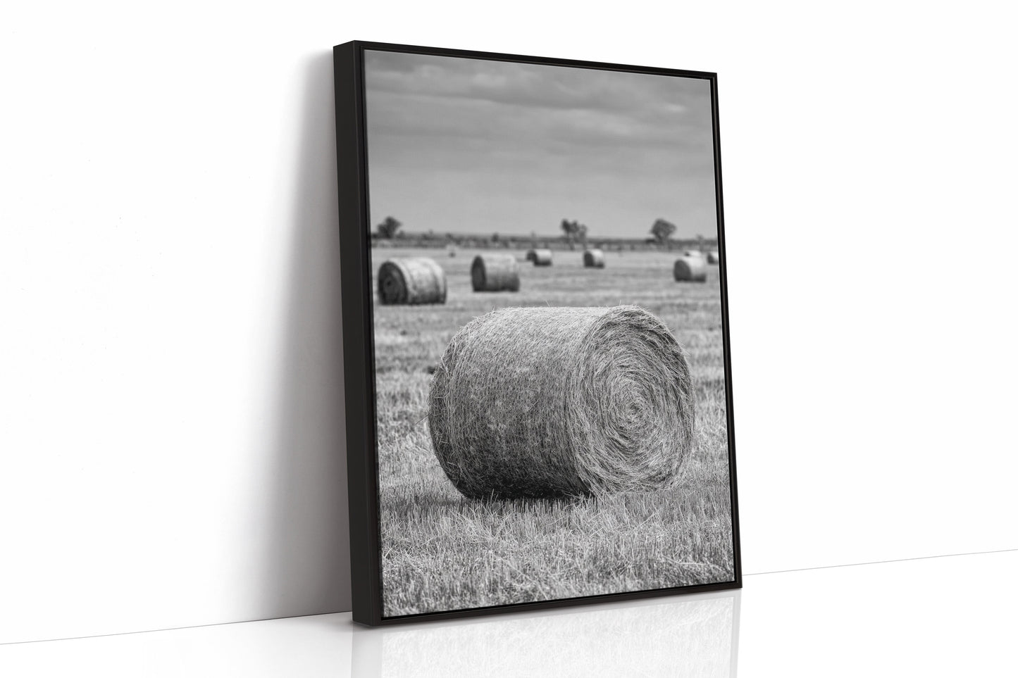 Harvested Echoes of Summer  (Online Exclusive)