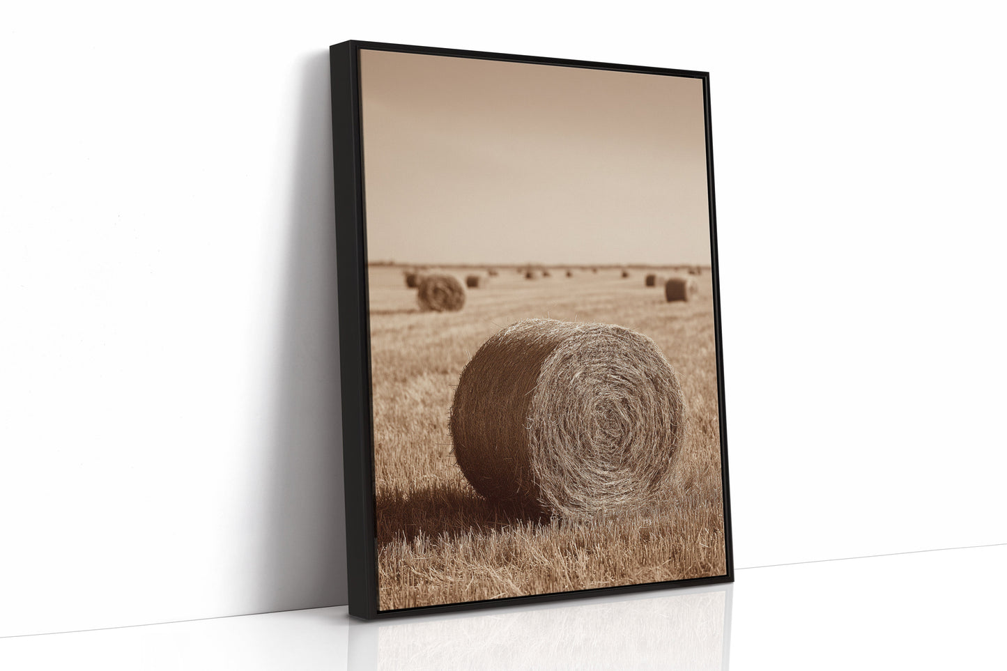 Harvested Echoes of Autumn (Online Exclusive)