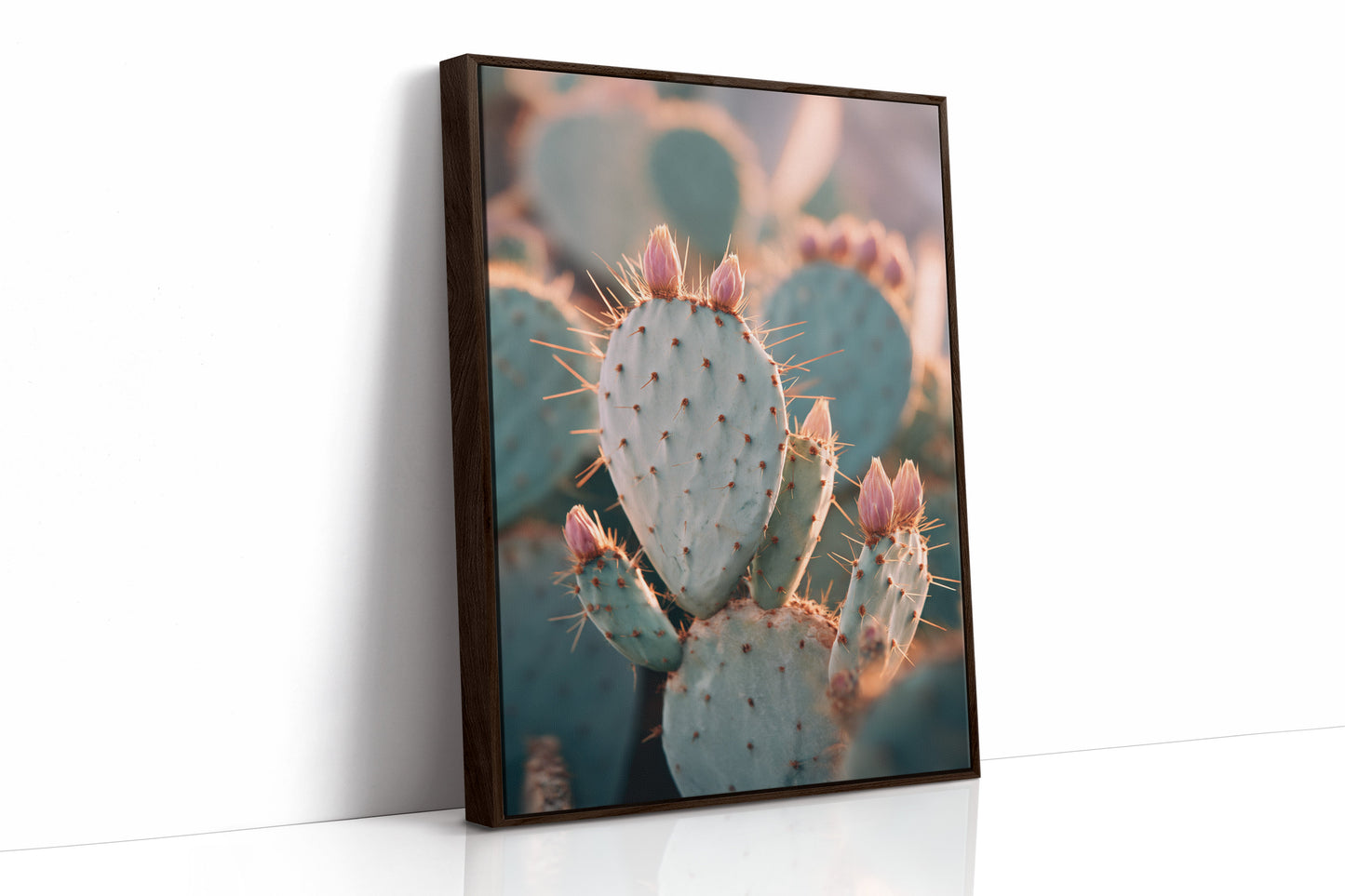 Cacti Embrace the Golden Dawn (Online Exclusive)
