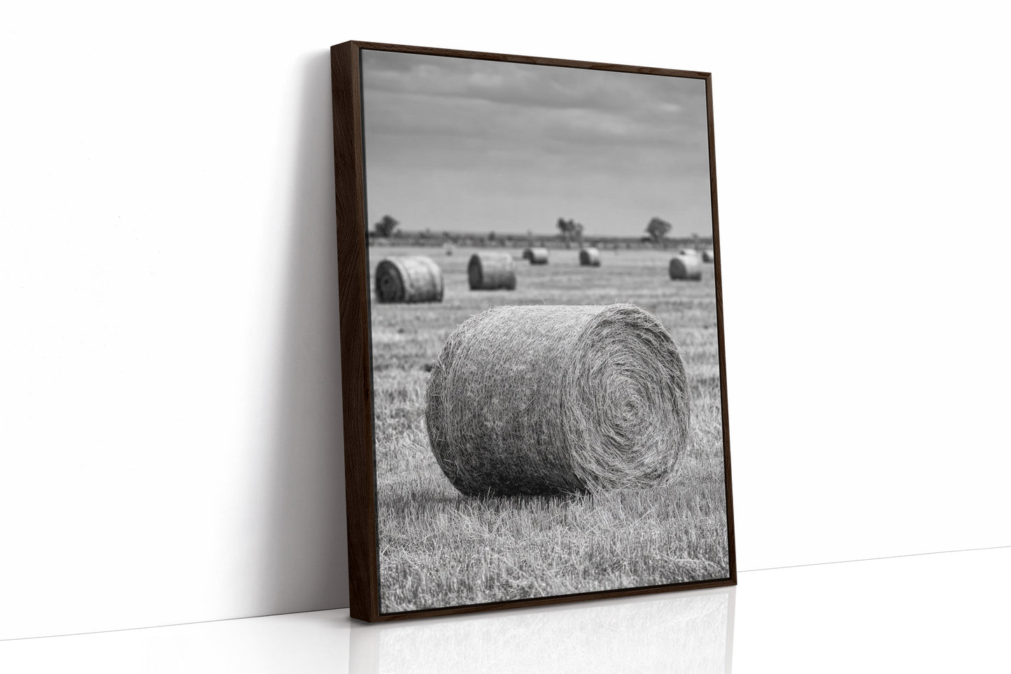 Harvested Echoes of Summer  (Online Exclusive)