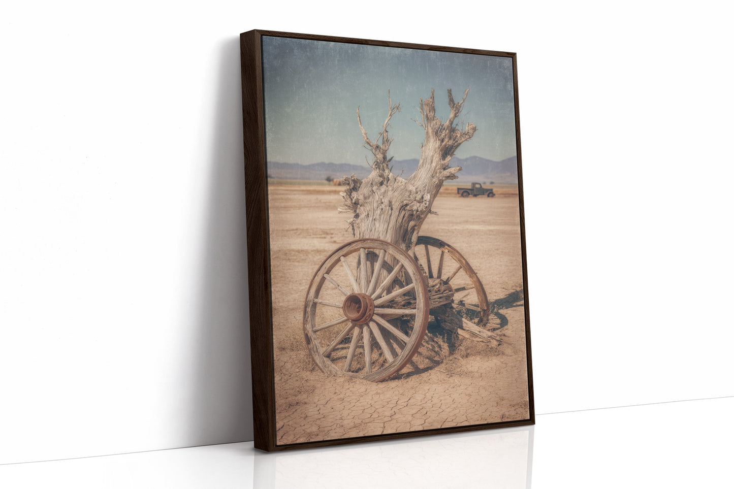 Roots of Forgotten Journeys  (Online Exclusive)