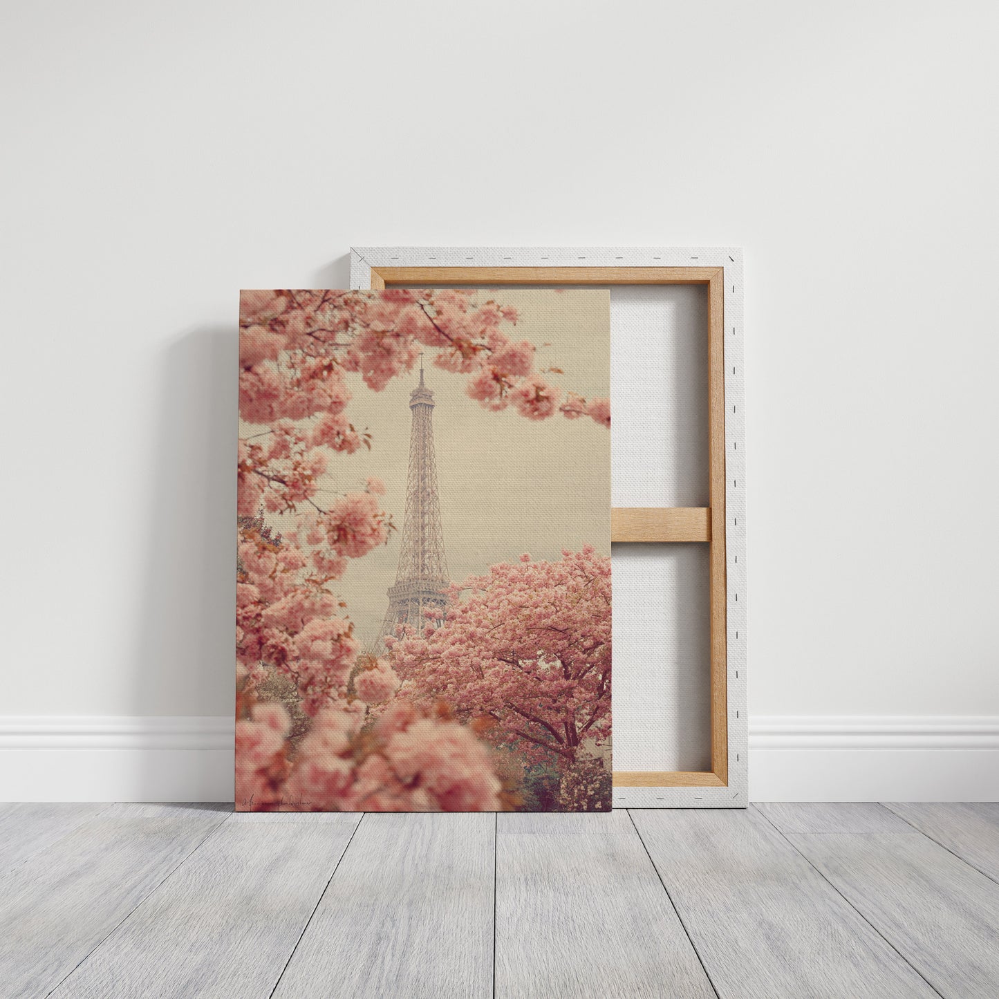 Petals Dance Beneath Parisian Skies  (Online Exclusive)