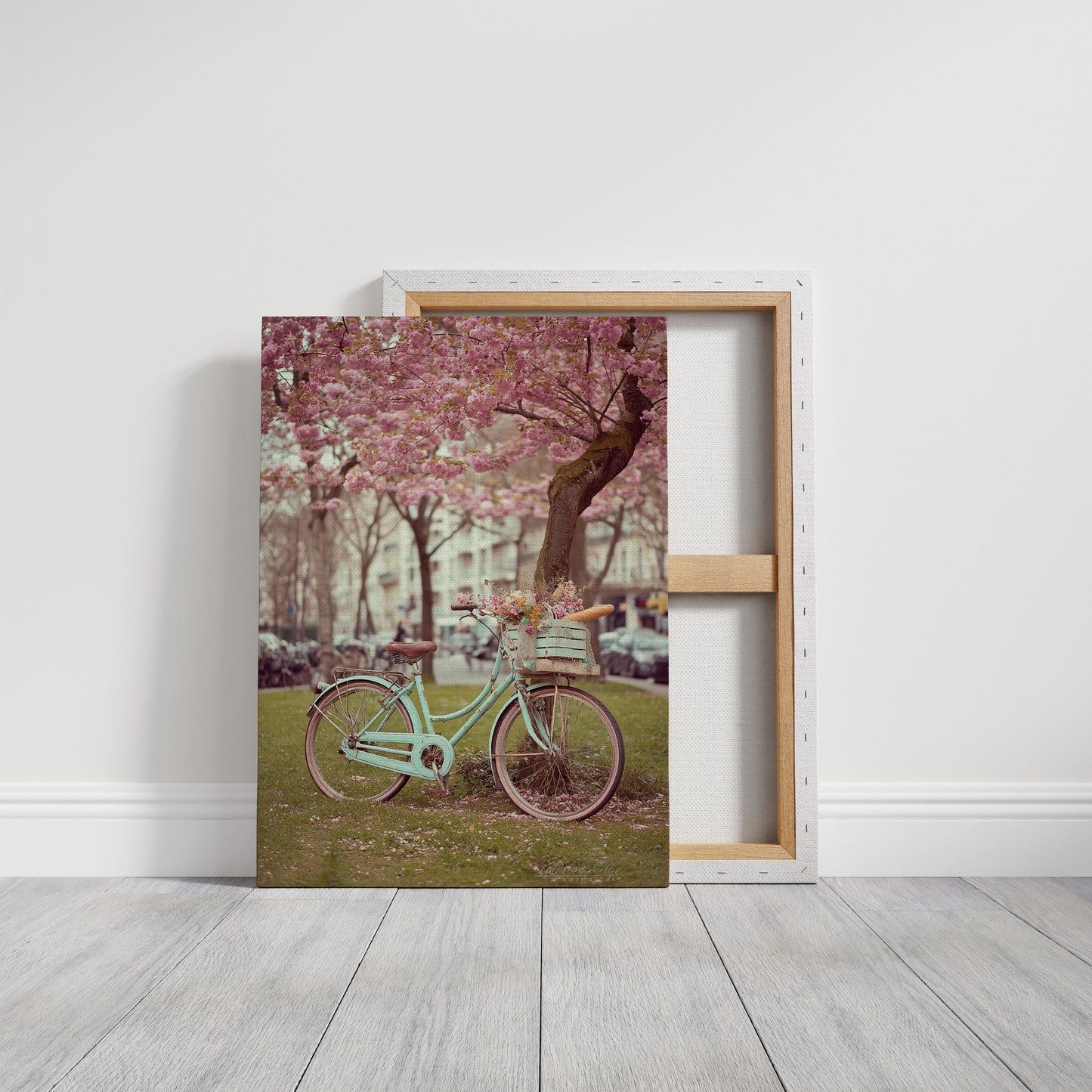Bicycle Beneath Blossoming Canopy (Online Exclusive)