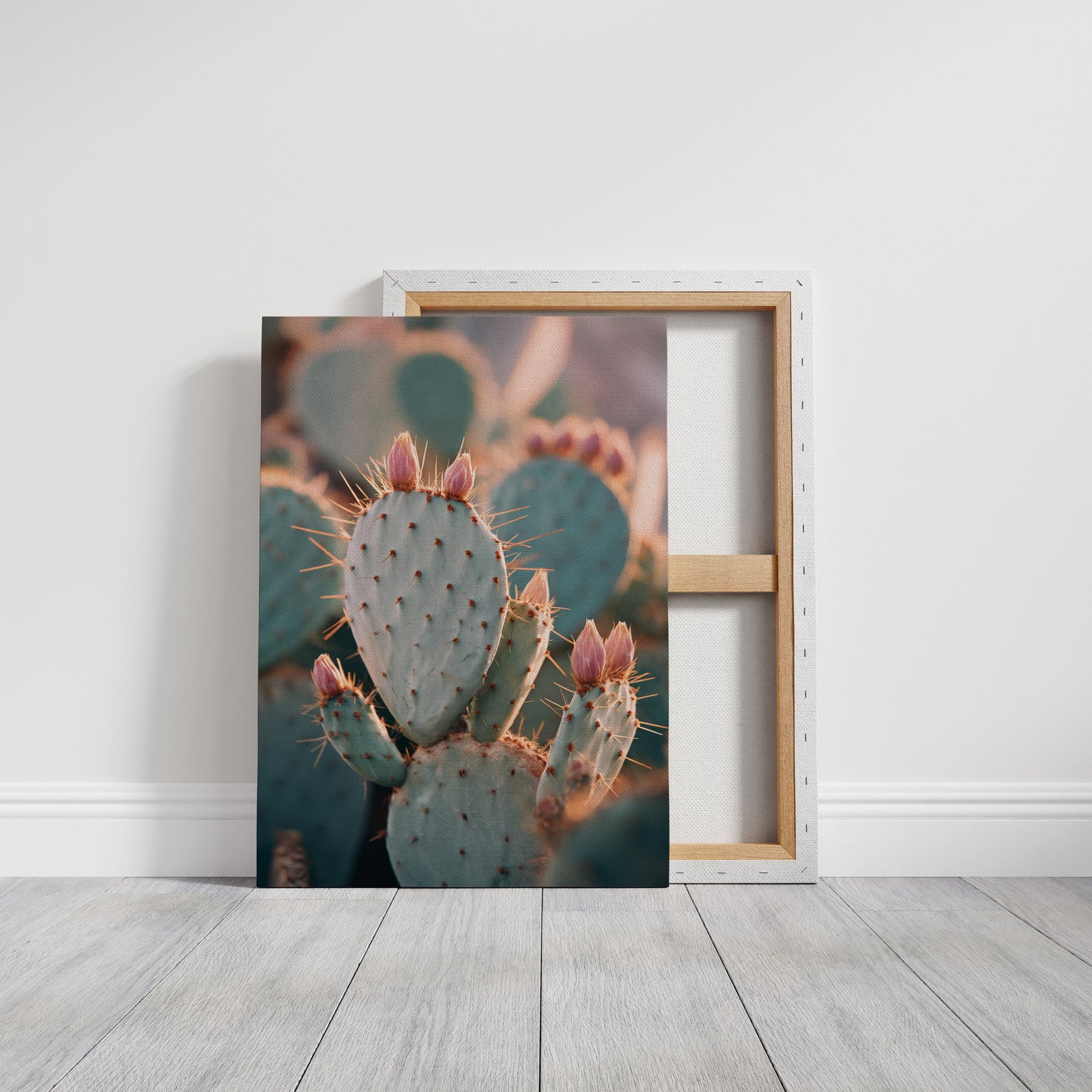 Cacti Embrace the Golden Dawn (Online Exclusive)