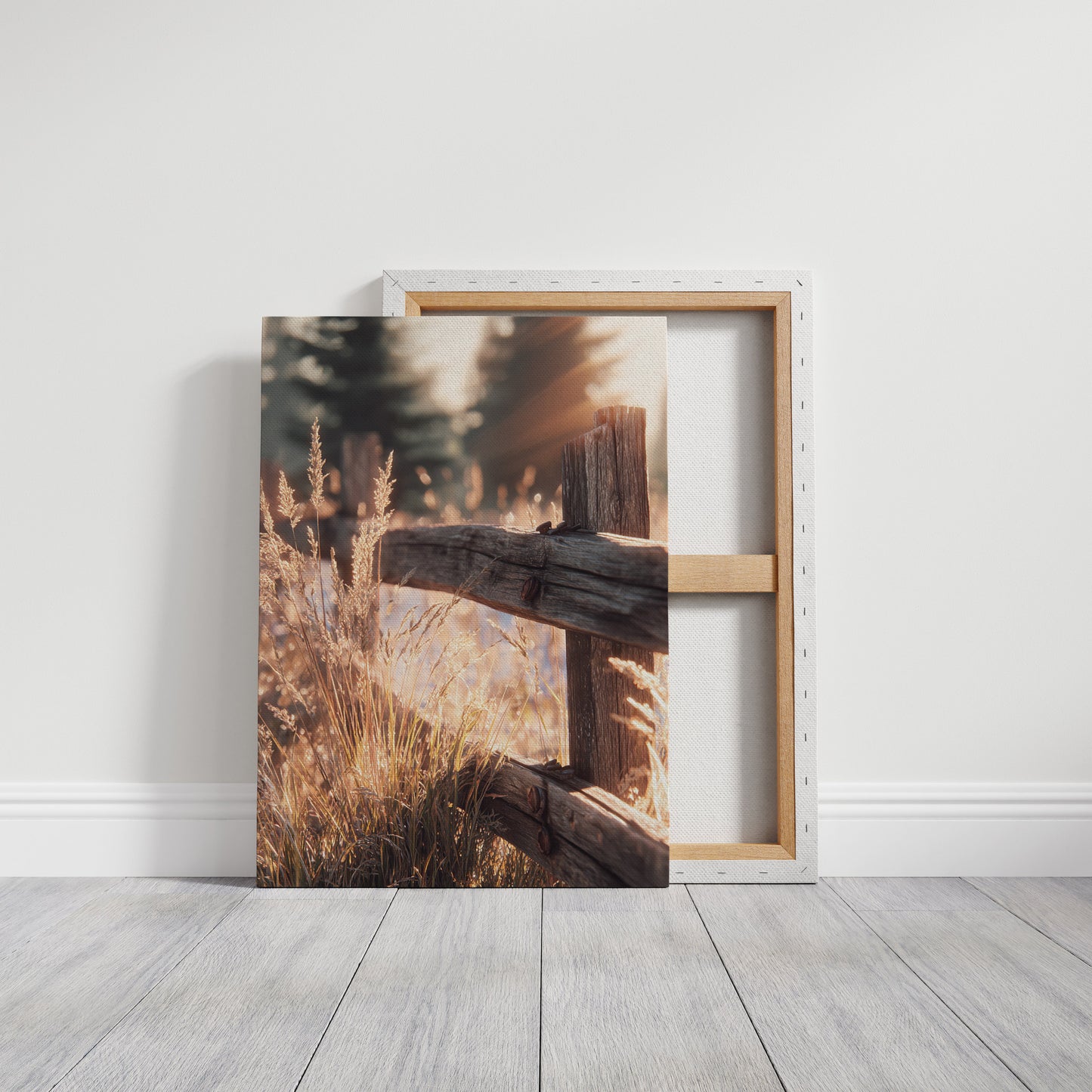 Golden Light on Weathered Wood (Online Exclusive)