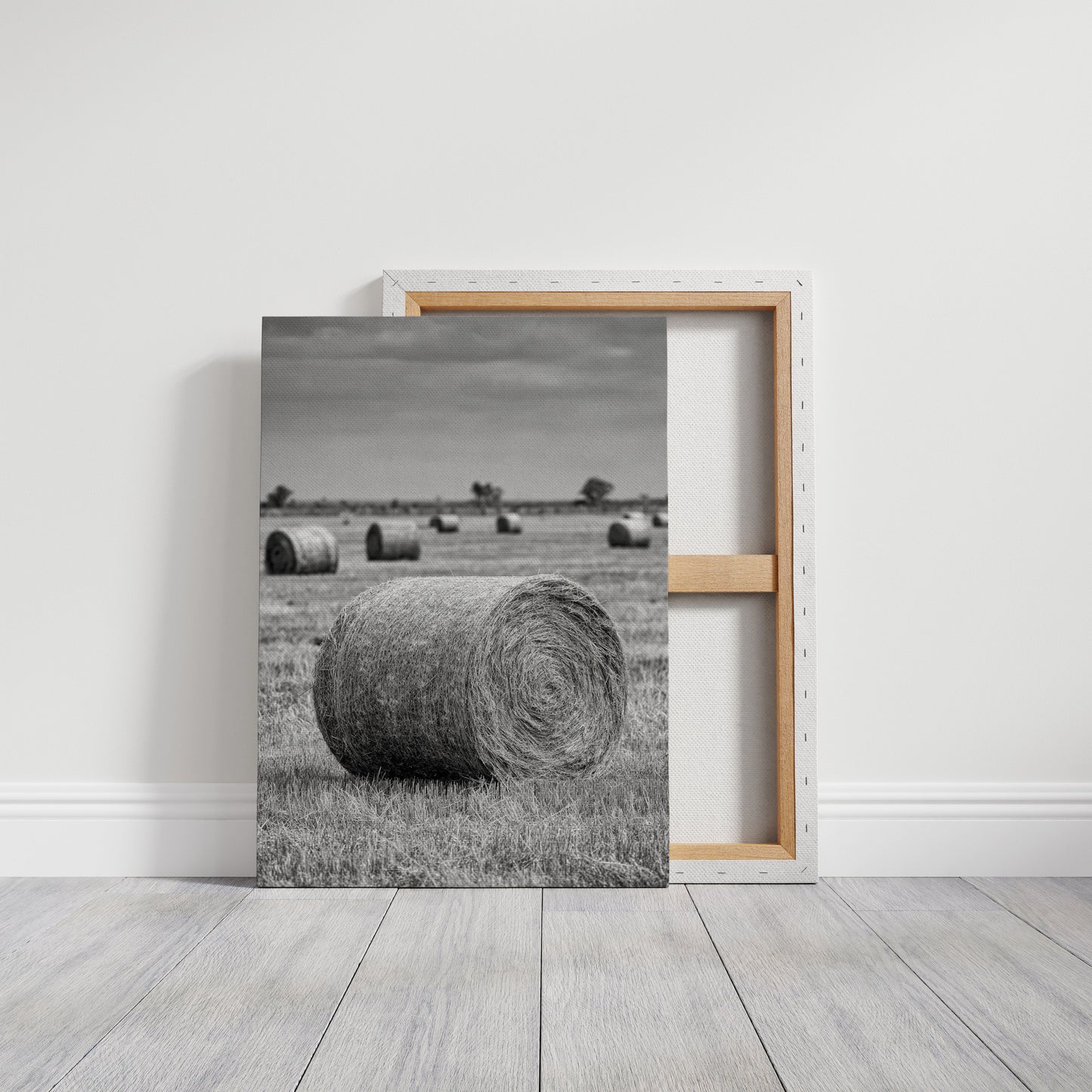 Harvested Echoes of Summer  (Online Exclusive)