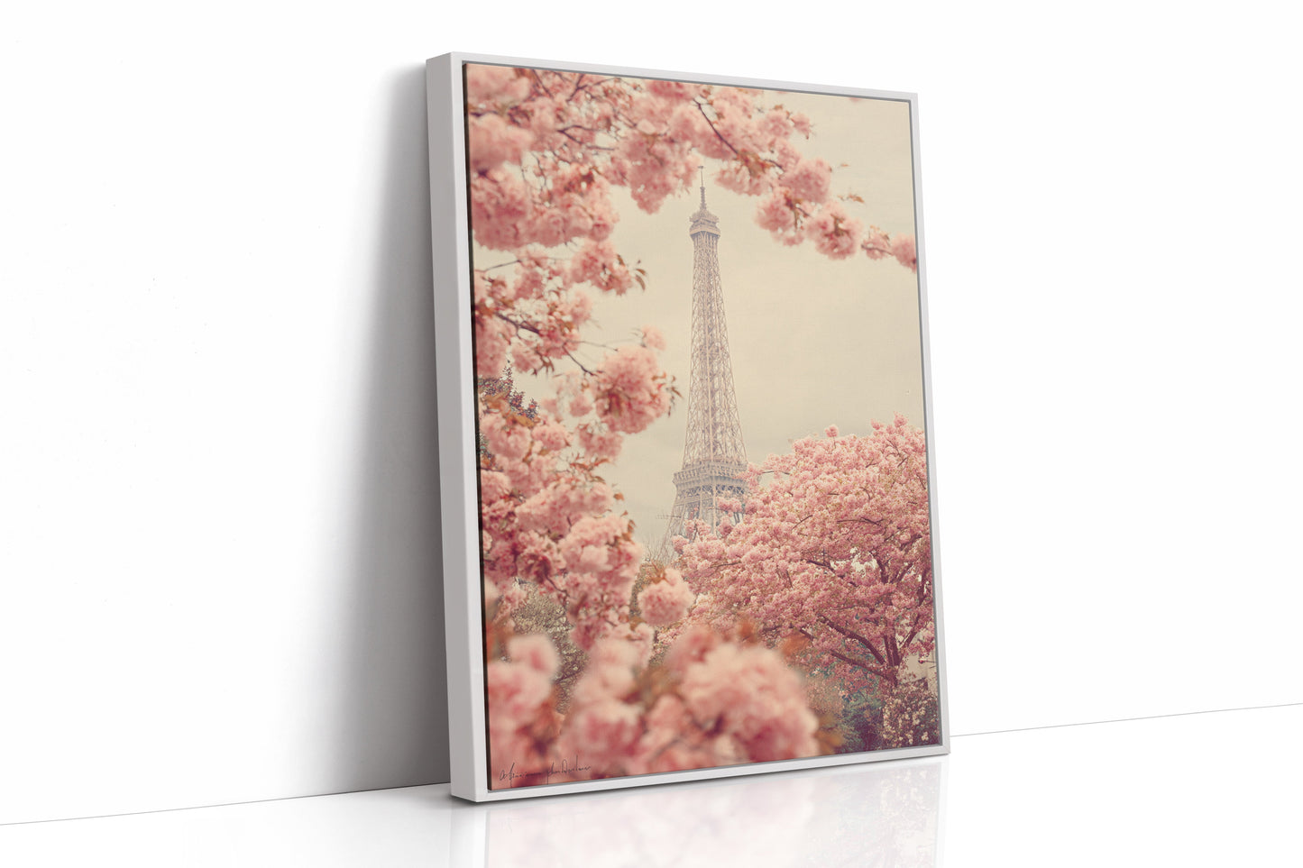 Petals Dance Beneath Parisian Skies  (Online Exclusive)