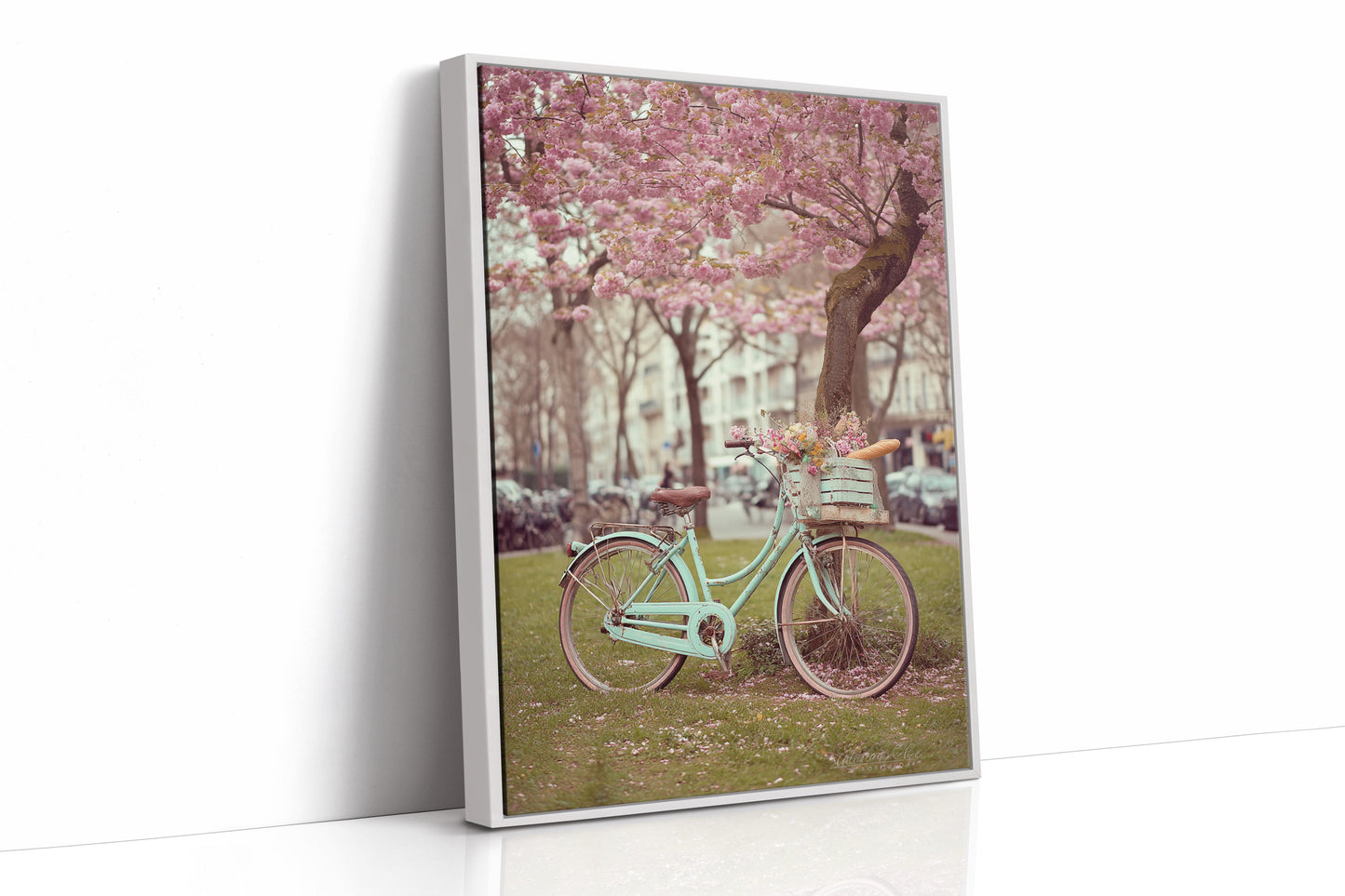 Bicycle Beneath Blossoming Canopy (Online Exclusive)