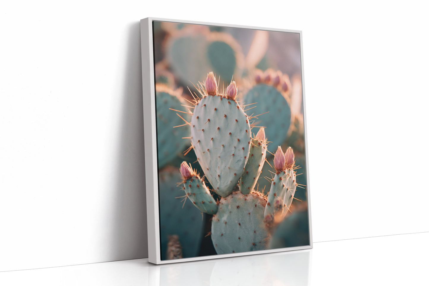 Cacti Embrace the Golden Dawn (Online Exclusive)