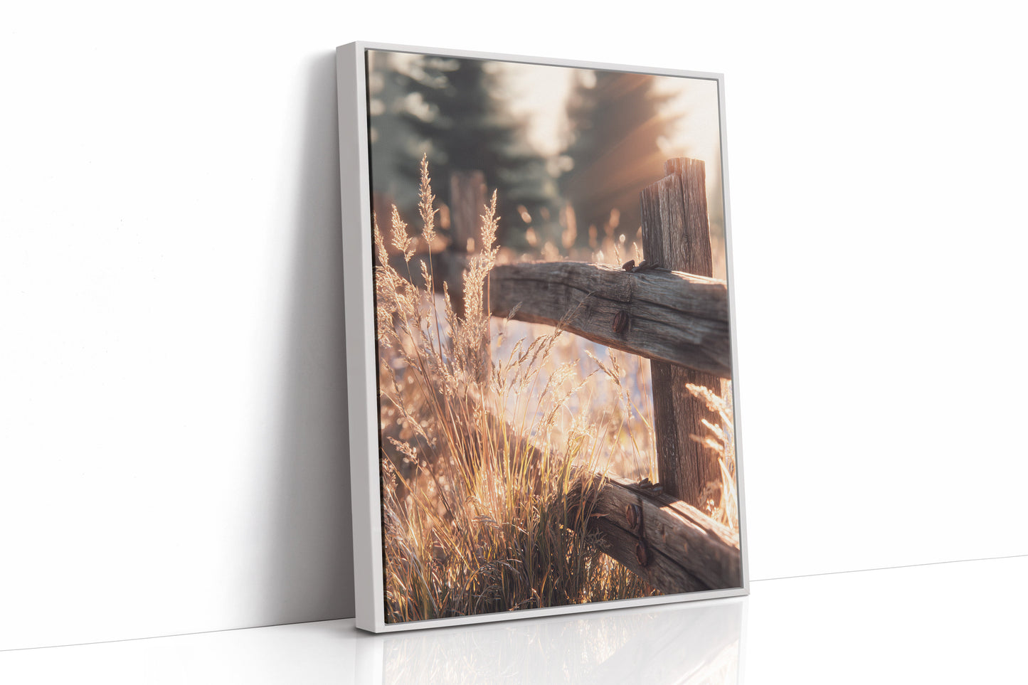 Golden Light on Weathered Wood (Online Exclusive)