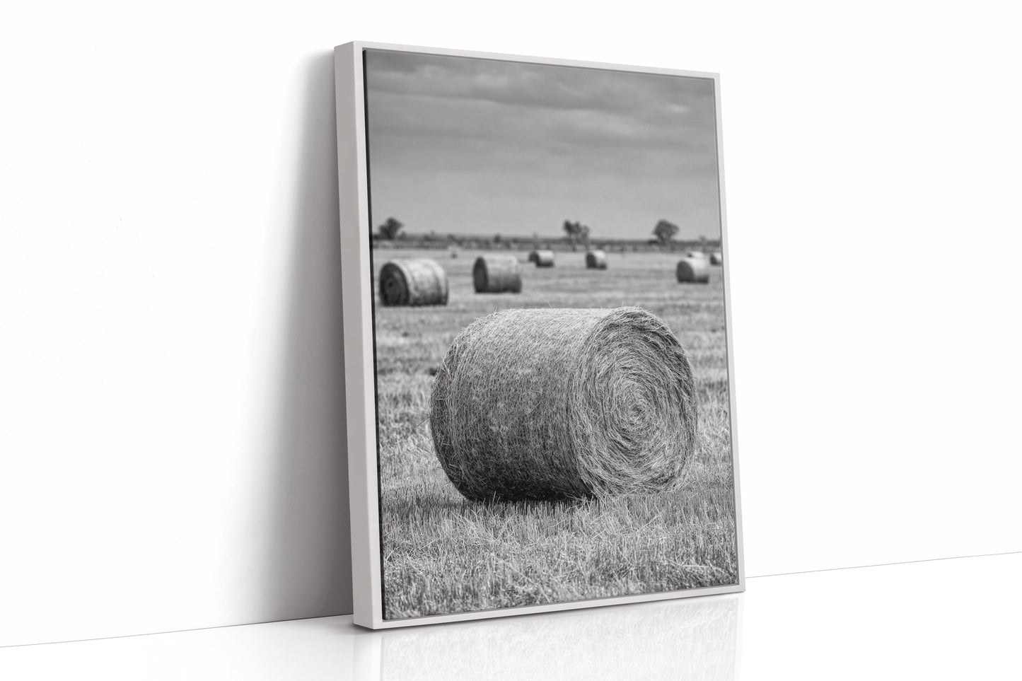 Harvested Echoes of Summer  (Online Exclusive)