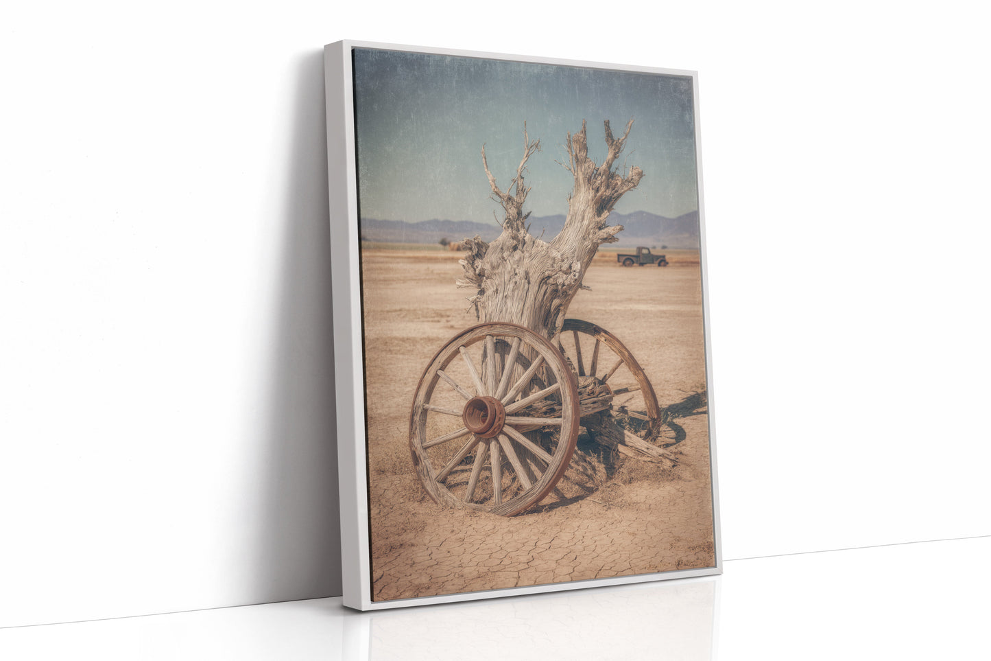 Roots of Forgotten Journeys  (Online Exclusive)