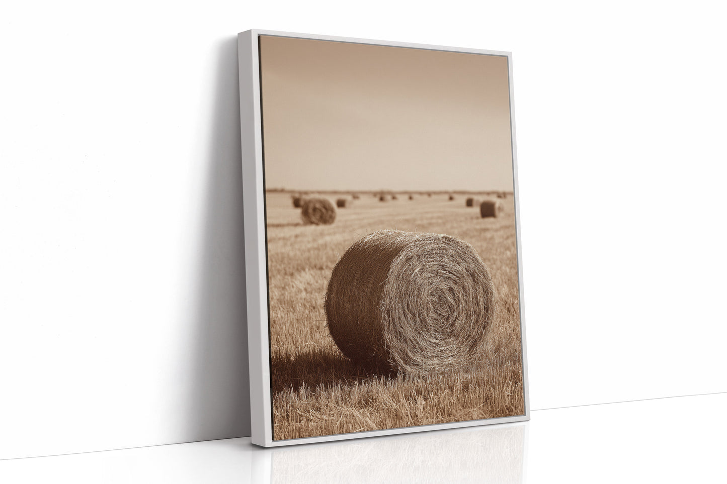 Harvested Echoes of Autumn (Online Exclusive)