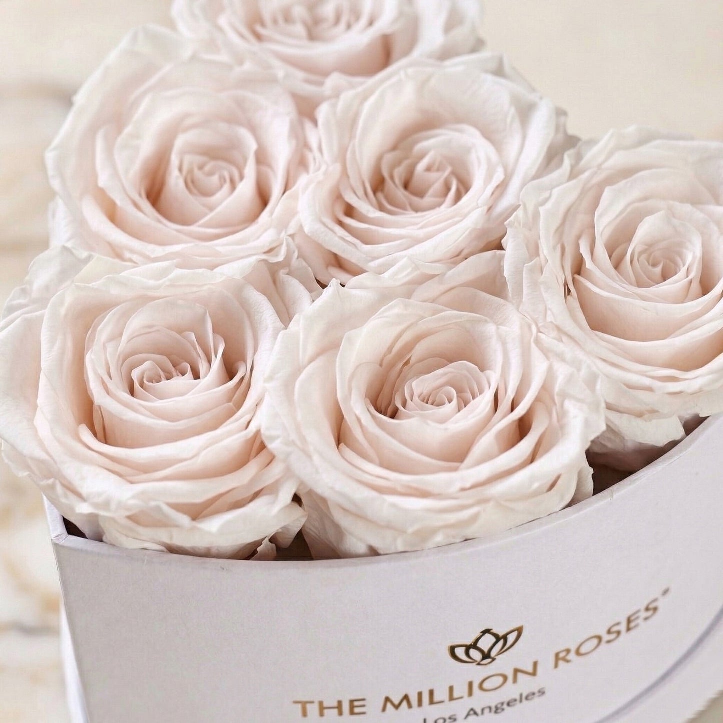 Baby Heart White Box | White Roses  (Online Exclusive)