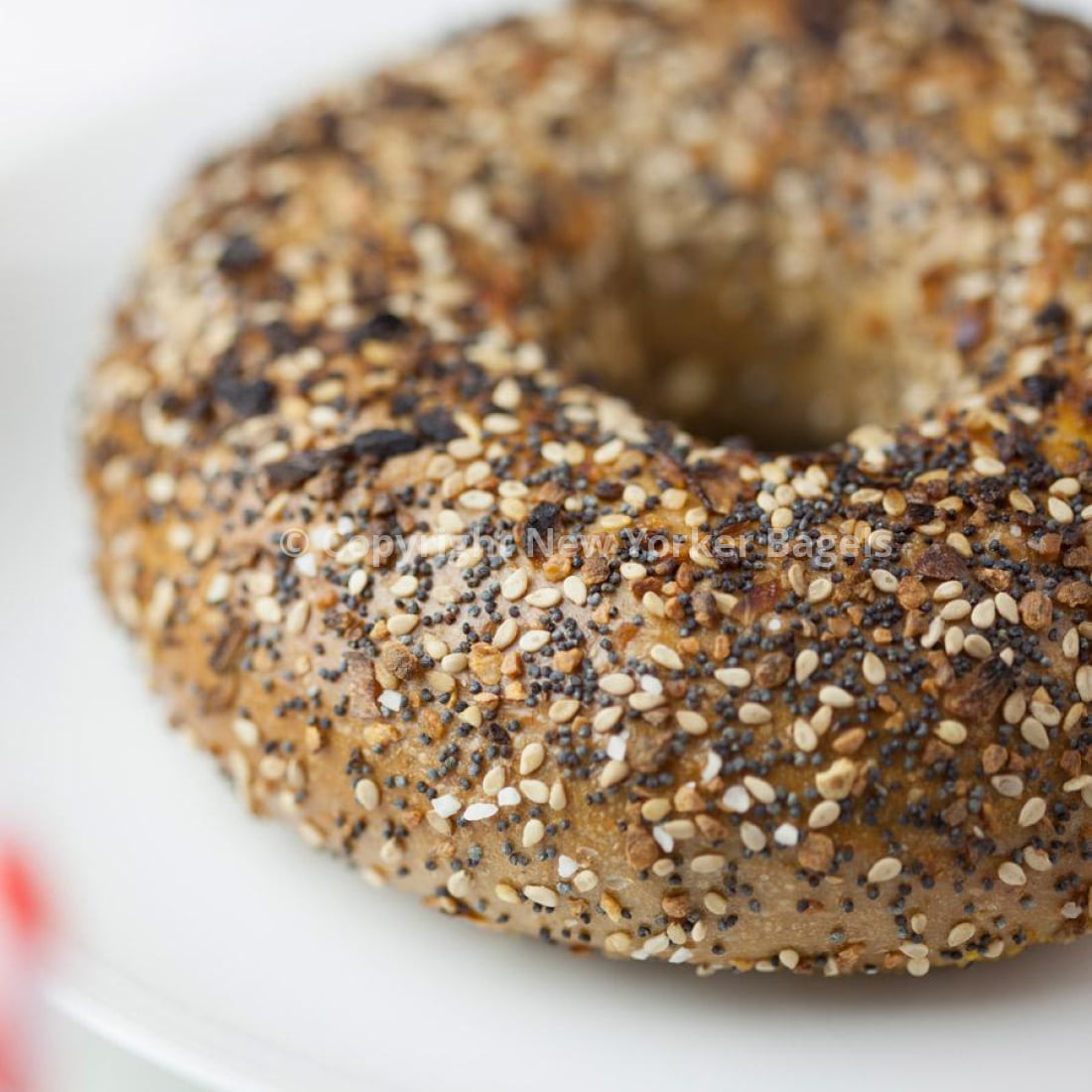 Whole Wheat Everything Bagel - 2 Dozen (Online Exclusive)