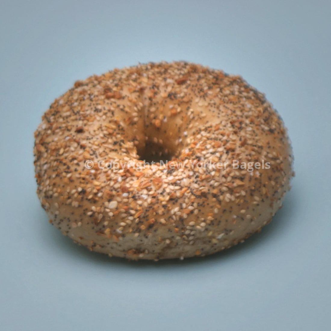 Whole Wheat Everything Bagel (Online Exclusive)