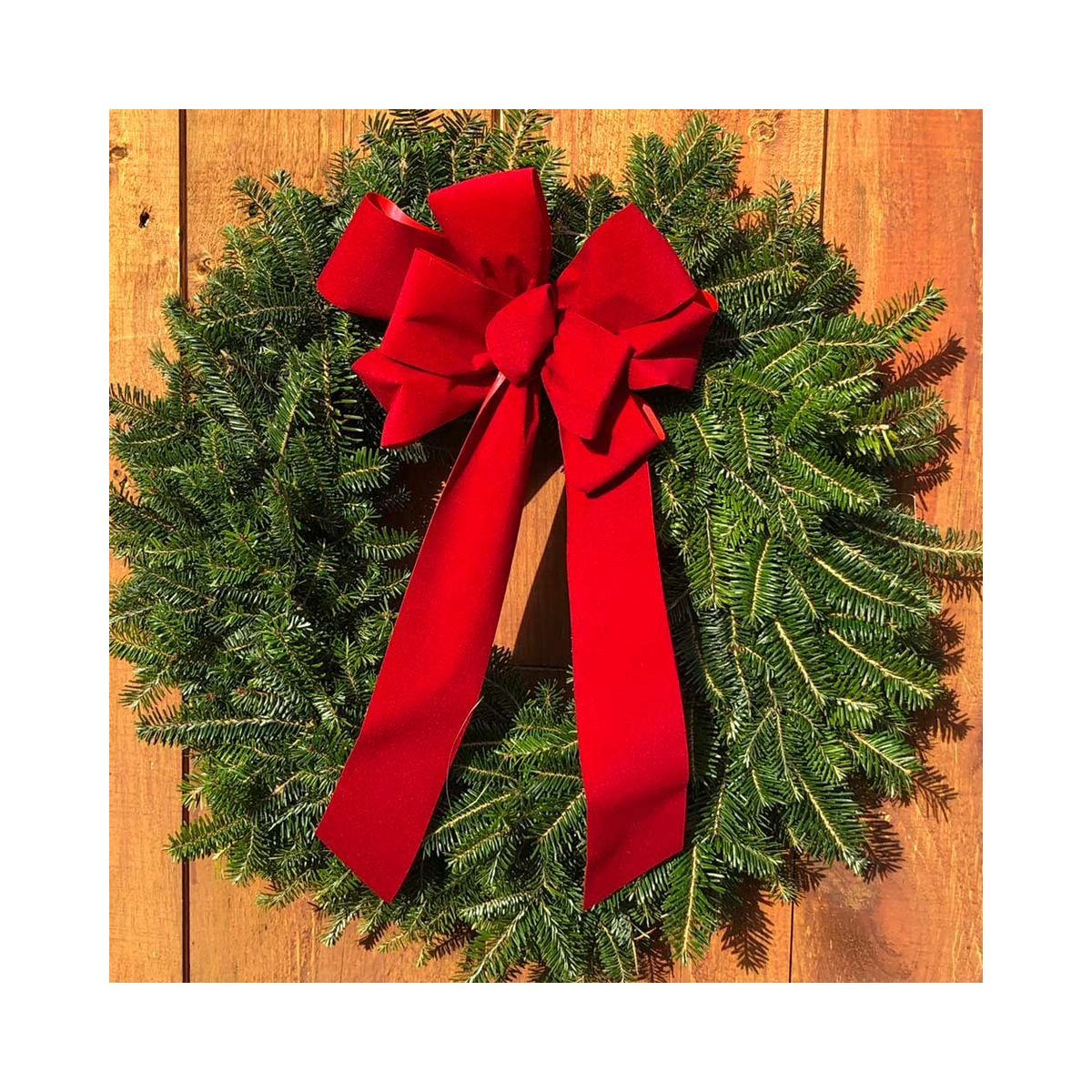 Balsam Fir Wreath W/ Bow (Online Exclusive)