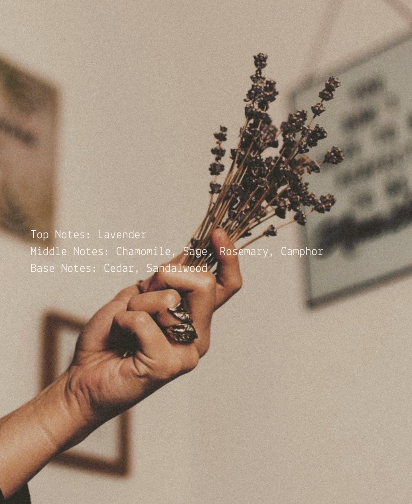 Yogi Room + Linen Fragrance Mist  (online exclusive)