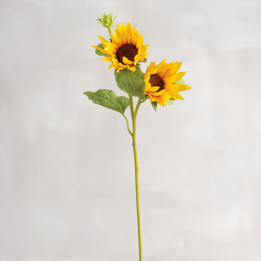 Sunflowers Pick
